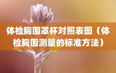 体检胸围罩杯对照表图（体检胸围测量的标准方法）