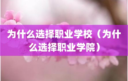 为什么选择职业学校（为什么选择职业学院）
