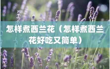 怎样煮西兰花（怎样煮西兰花好吃又简单）