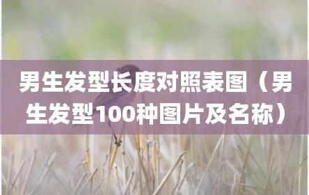 男生发型长度对照表图（男生发型100种图片及名称）