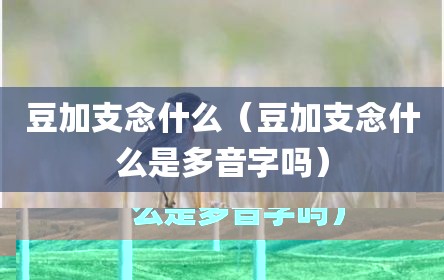 豆加支念什么（豆加支念什么是多音字吗）