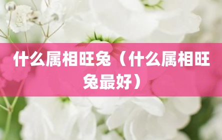 什么属相旺兔（什么属相旺兔最好）