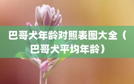 巴哥犬年龄对照表图大全（巴哥犬平均年龄）