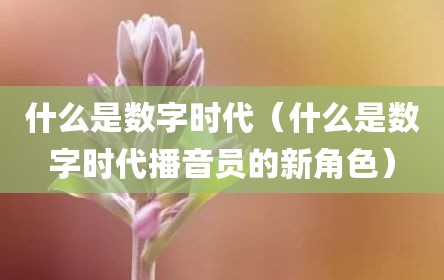什么是数字时代（什么是数字时代播音员的新角色）