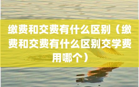 缴费和交费有什么区别（缴费和交费有什么区别交学费用哪个）