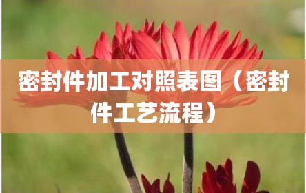 密封件加工对照表图（密封件工艺流程）