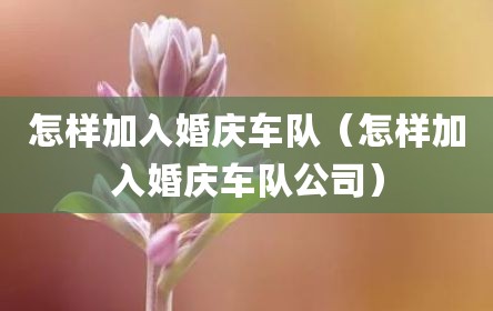 怎样加入婚庆车队（怎样加入婚庆车队公司）