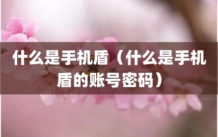 什么是手机盾（什么是手机盾的账号密码）