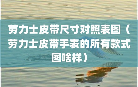 劳力士皮带尺寸对照表图（劳力士皮带手表的所有款式图啥样）