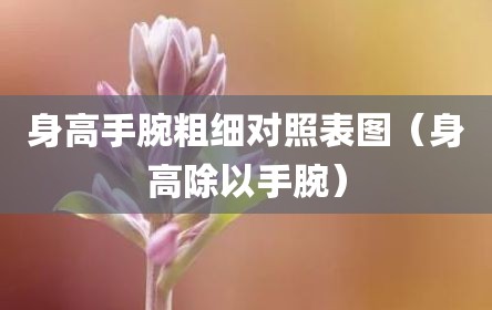 身高手腕粗细对照表图（身高除以手腕）