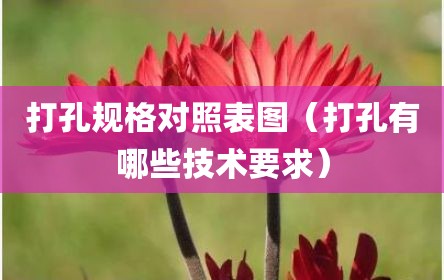 打孔规格对照表图（打孔有哪些技术要求）