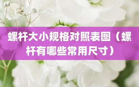 螺杆大小规格对照表图（螺杆有哪些常用尺寸）