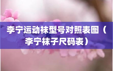 李宁运动袜型号对照表图（李宁袜子尺码表）