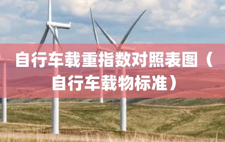 自行车载重指数对照表图（自行车载物标准）