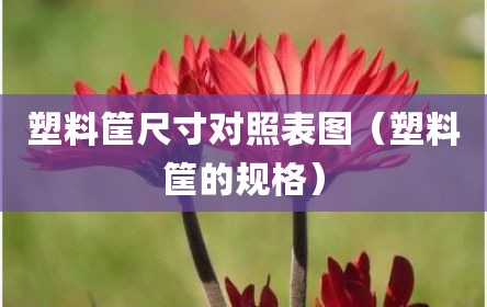 塑料筐尺寸对照表图（塑料筐的规格）