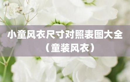 小童风衣尺寸对照表图大全（童装风衣）
