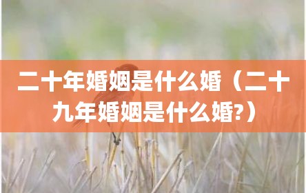 二十年婚姻是什么婚（二十九年婚姻是什么婚?）
