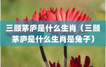三顾茅庐是什么生肖（三顾茅庐是什么生肖是兔子）