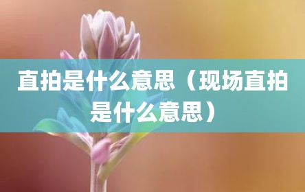 直拍是什么意思（现场直拍是什么意思）