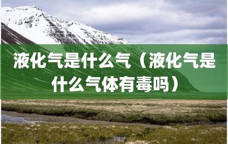 液化气是什么气（液化气是什么气体有毒吗）