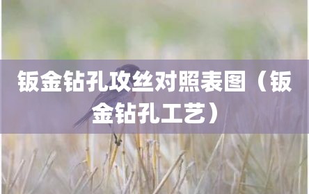 钣金钻孔攻丝对照表图（钣金钻孔工艺）