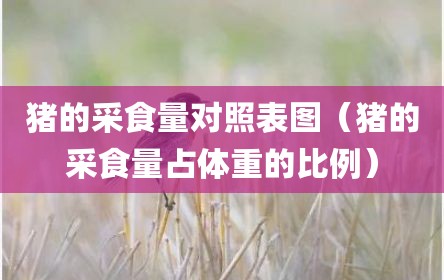 猪的采食量对照表图（猪的采食量占体重的比例）