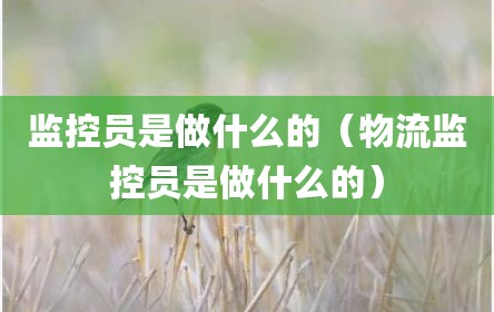 监控员是做什么的（物流监控员是做什么的）