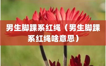 男生脚踝系红绳（男生脚踝系红绳啥意思）