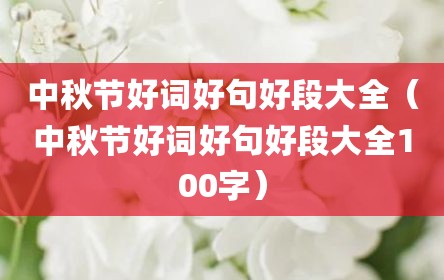 中秋节好词好句好段大全（中秋节好词好句好段大全100字）
