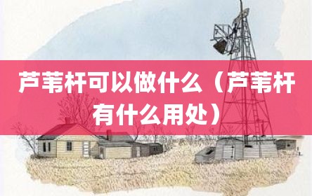 芦苇杆可以做什么（芦苇杆有什么用处）