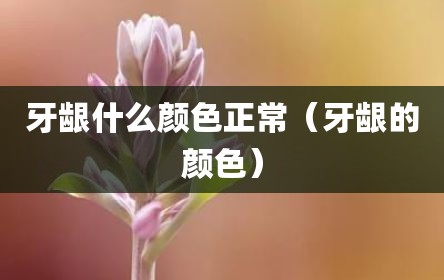 牙龈什么颜色正常（牙龈的颜色）