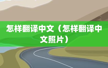 怎样翻译中文（怎样翻译中文照片）