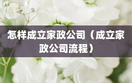 怎样成立家政公司（成立家政公司流程）