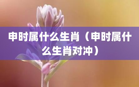 申时属什么生肖（申时属什么生肖对冲）