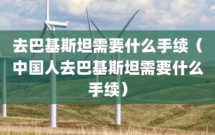 去巴基斯坦需要什么手续（中国人去巴基斯坦需要什么手续）