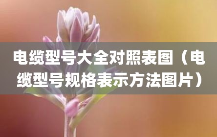 电缆型号大全对照表图（电缆型号规格表示方法图片）