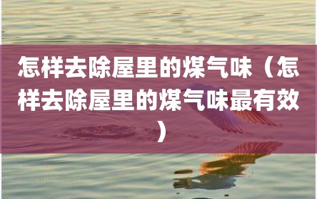怎样去除屋里的煤气味（怎样去除屋里的煤气味最有效）