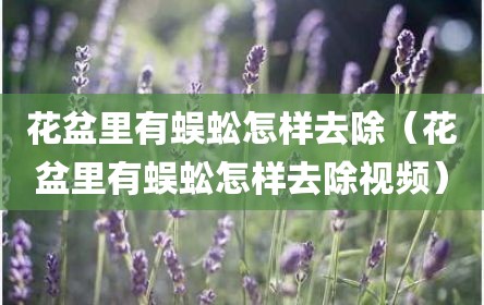 花盆里有蜈蚣怎样去除（花盆里有蜈蚣怎样去除视频）