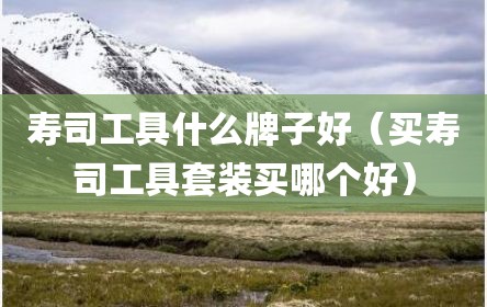 寿司工具什么牌子好（买寿司工具套装买哪个好）