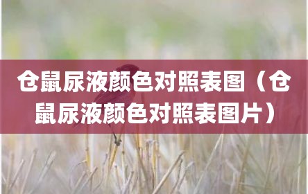 仓鼠尿液颜色对照表图（仓鼠尿液颜色对照表图片）