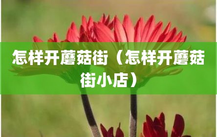 怎样开蘑菇街（怎样开蘑菇街小店）