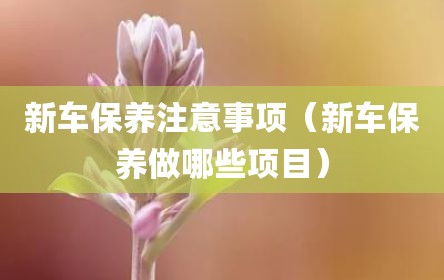 新车保养注意事项（新车保养做哪些项目）