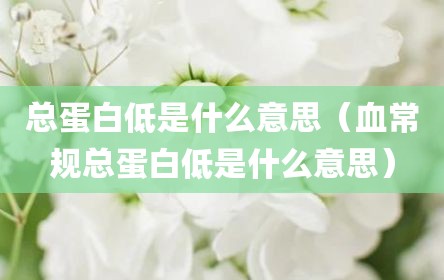 总蛋白低是什么意思（血常规总蛋白低是什么意思）