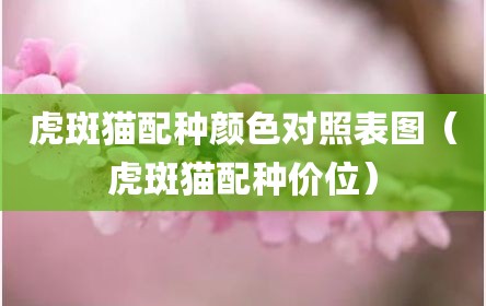 虎斑猫配种颜色对照表图（虎斑猫配种价位）