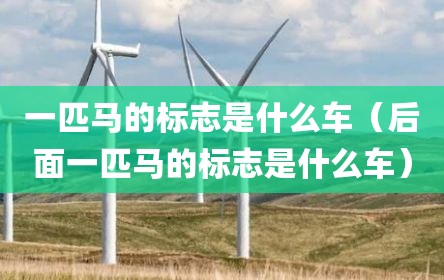 一匹马的标志是什么车（后面一匹马的标志是什么车）