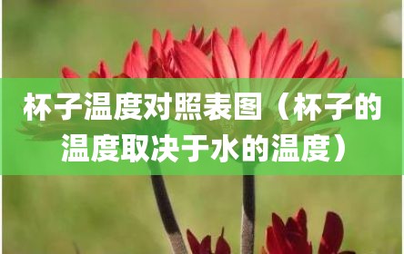 杯子温度对照表图（杯子的温度取决于水的温度）