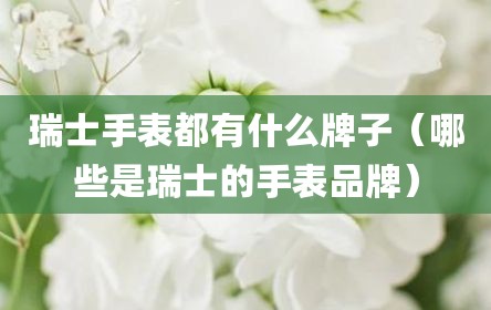 瑞士手表都有什么牌子（哪些是瑞士的手表品牌）