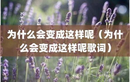 为什么会变成这样呢（为什么会变成这样呢歌词）