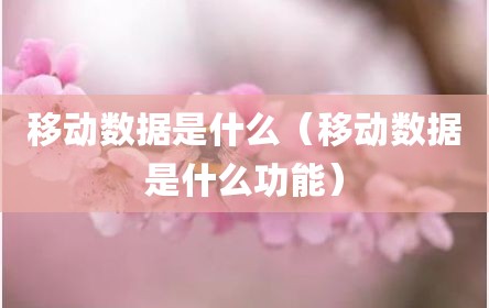 移动数据是什么（移动数据是什么功能）