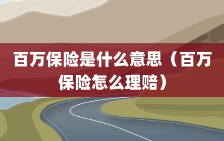 百万保险是什么意思（百万保险怎么理赔）